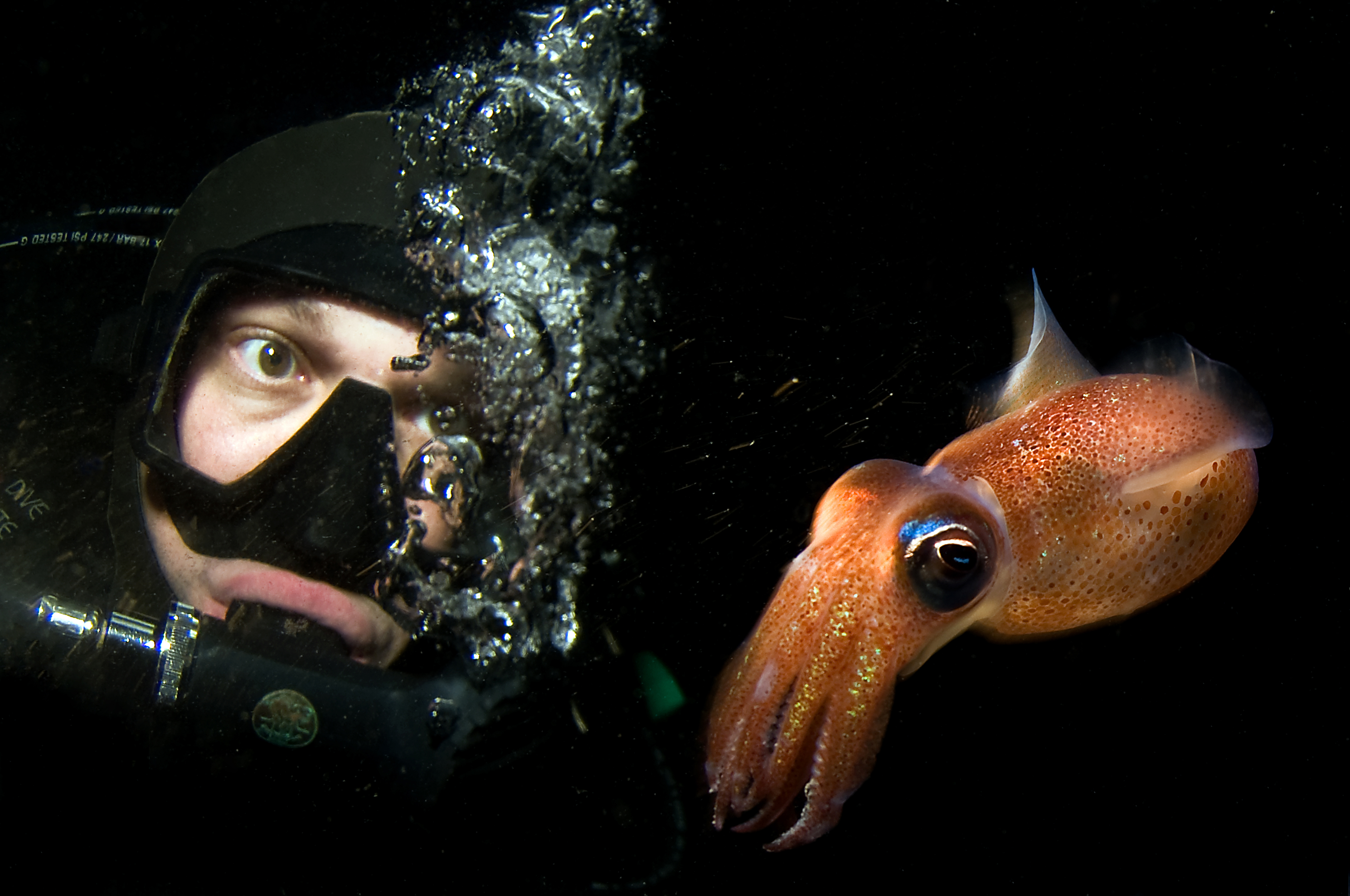 Secrets of the Western Sea