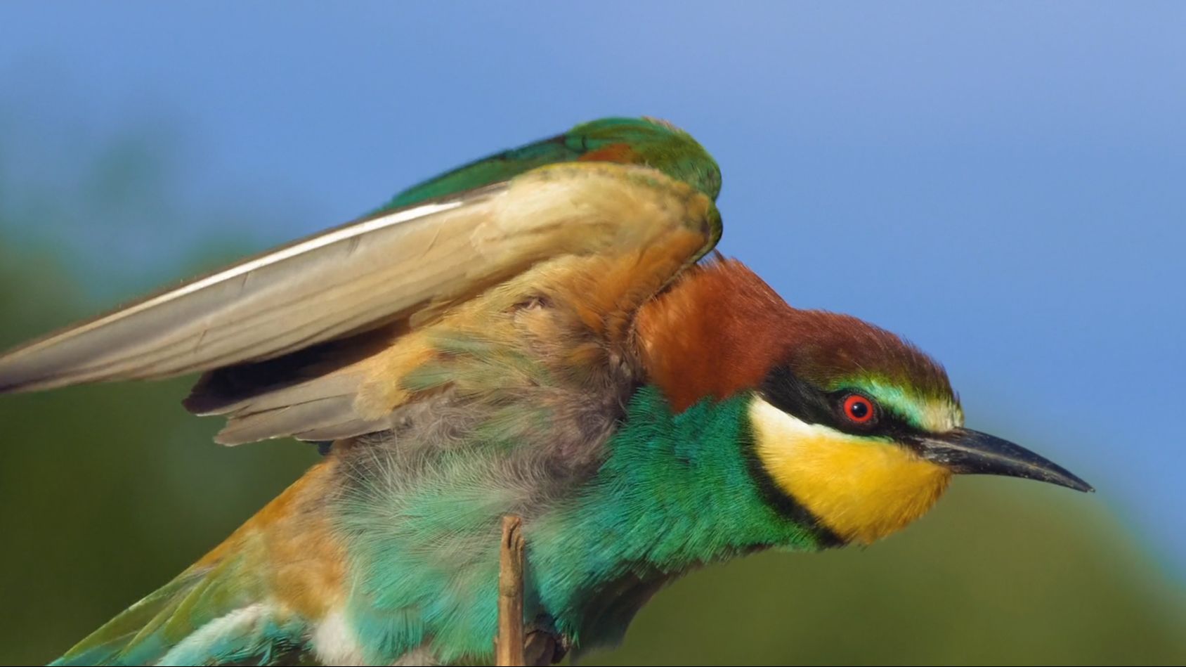 Menorca Biosphere Reserve